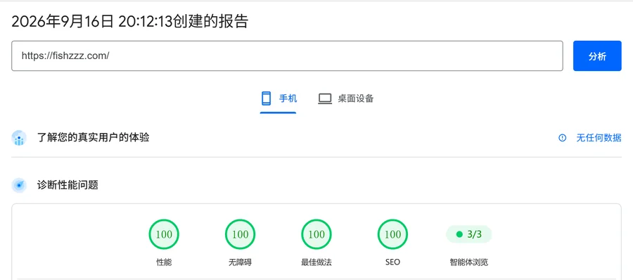 本站 fishzzz.com 的 PageSpeed Insights 手机端实测报告：性能 100、无障碍 100、最佳做法 100、SEO 100