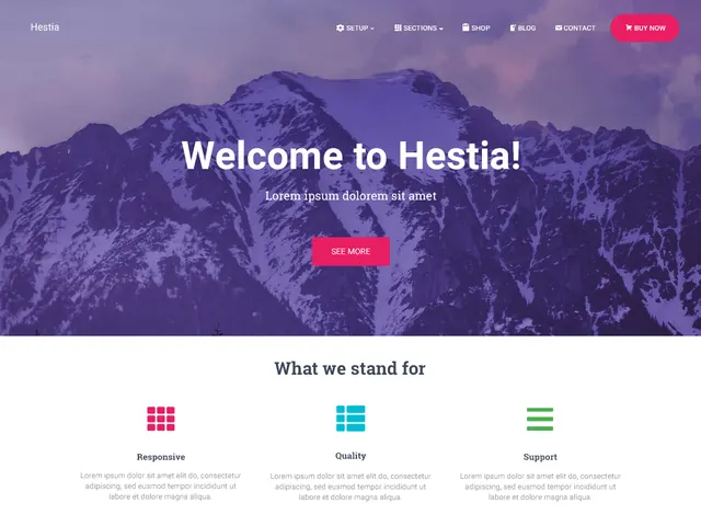 Hestia 主题官方演示截图